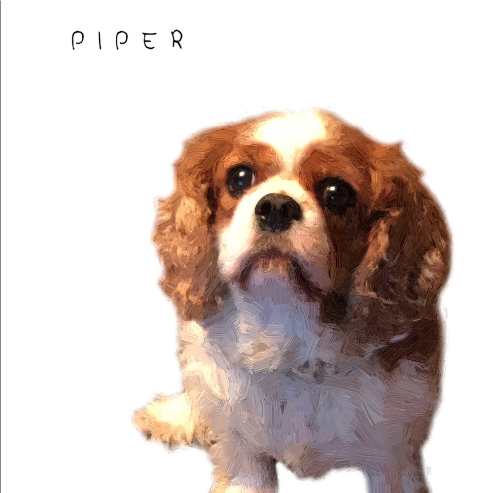Meet your Posher, Piper